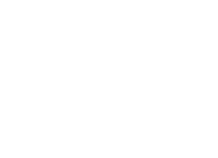 VANPHONES Logo